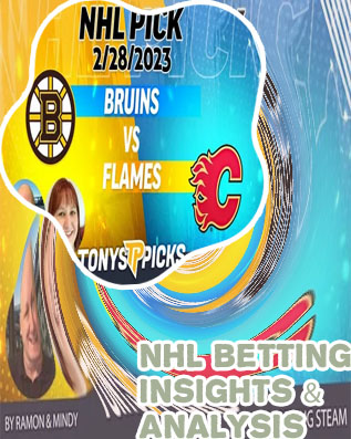 Expert picks nhl
