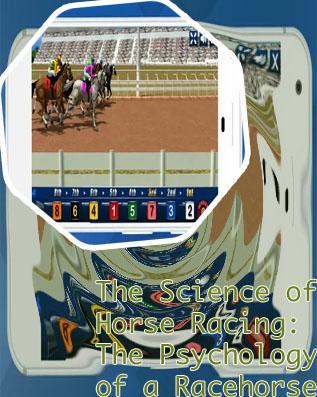 Horse odds