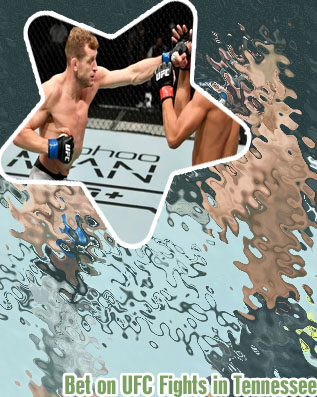 Moneyline ufc