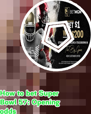 Odds to go to super bowl