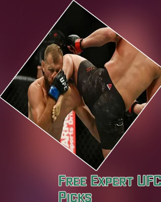 Ufc favorites today